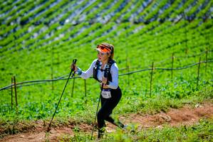 BIB: 
                            <button type="button" onclick="openModal(19164137)" class="btn btn-primary btn-sm float-right btn-popup" data-toggle="modal" data-target=".modal-high-quality">
                        <i class="fas fa-shopping-cart"></i> Add to Cart
                    </button>
                                            <button type="button" onclick="isThisMe(19164137, true)" class="btn btn-success btn-sm float-right btn-popup btn-isme hidden" data-toggle="tooltip" data-placement="bottom" title="นี่คือรูปของคุณใช่ไหม คลิกที่นี่เพื่อเอาเข้าอัลบั้ม">
                        <i class="fas fa-plus"></i> Add to album
                    </button>
                    <button type="button" onclick="isThisMe(19164137, false)" class="btn btn-warning btn-sm float-right btn-popup btn-isnotme hidden">
                        <i class="fas fa-ban"></i> Remove from album
                    </button>